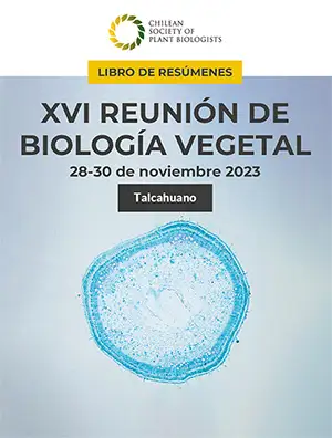 XVI-Reunion